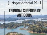 BOLETÍN JURISPRUDENCIAL N° 1