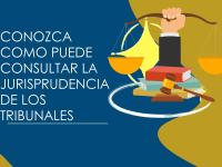 CONSULTAR JURISPRUDENCIA TRIBUNALES
